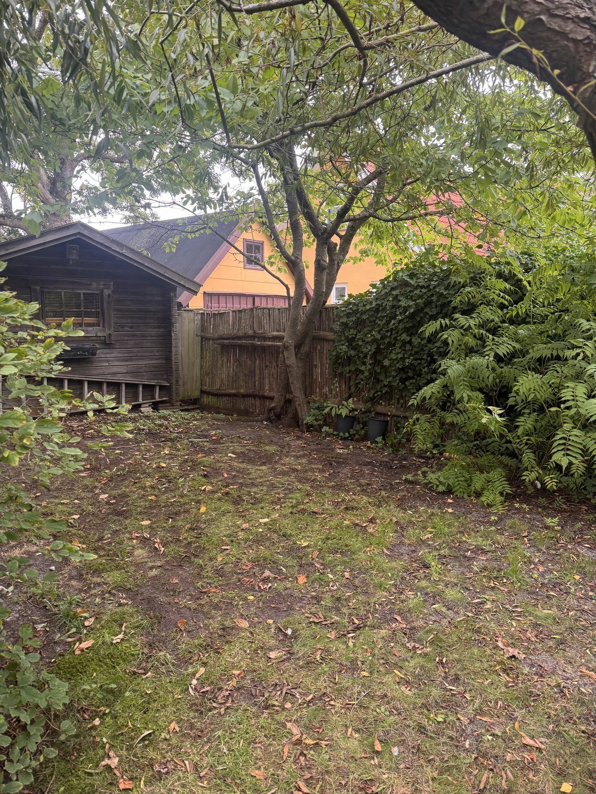Samma tomt helt tömd och ren efter Fixoras jobb